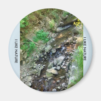 Magnesium on the fridge magnet