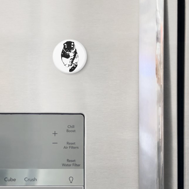 Magnet (In Situ (Fridge))