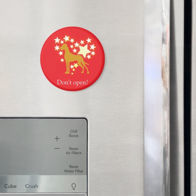 Magnet (In Situ (Fridge))