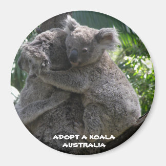 Magnet Adopt A Koala Australia ZIZZAGO