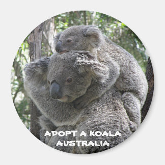 Magnet Adopt A Koala Australia ZIZZAGO