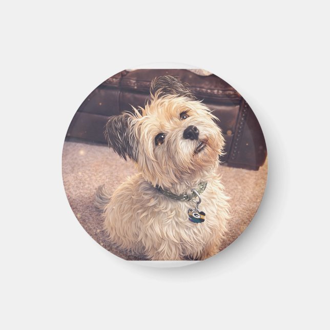 Magnet Adorable Terrier Puppy (Front)