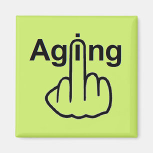 Magnet Aging Flip