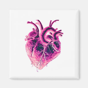 Magnet Anatomical Heart pink purple neon electric 