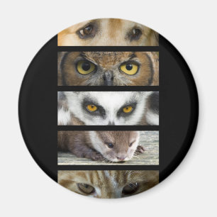 Magnet - Animals Eyes