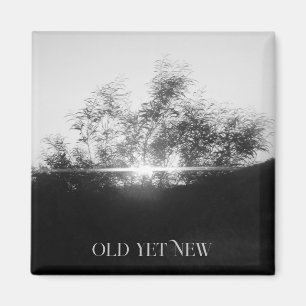 MAGNET ART&DESIGN DECORATION