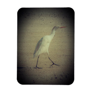 MAGNET ART&DESIGN DECORATION STYLES