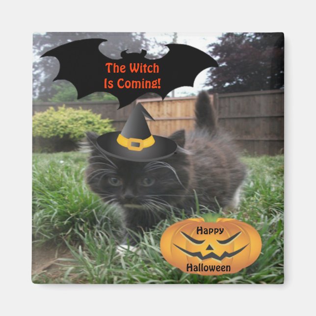 Magnet Black Cat The Witch Is Coming (Front)