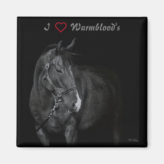 Magnet Black & White Warmblood (Front)