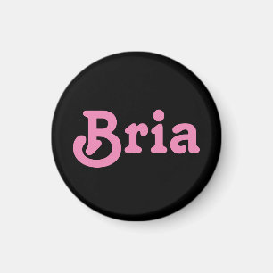 Magnet Bria