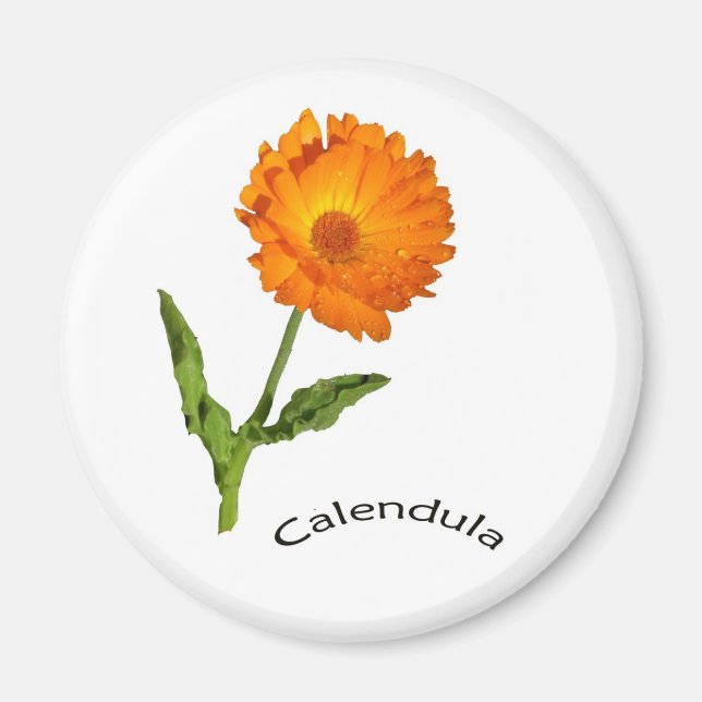 Magnet - Calendula and text (Front)