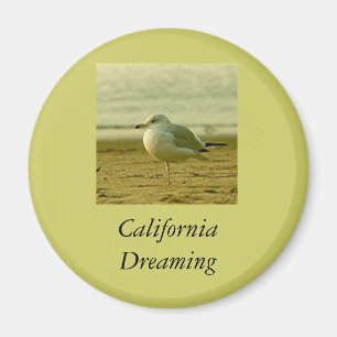 Magnet - California Dreams