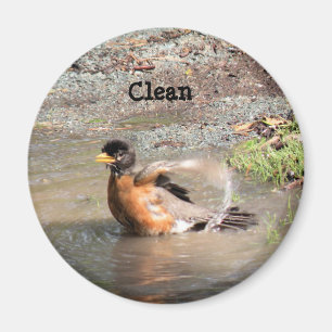 Magnet, Dishwasher, Clean Robin Magnet