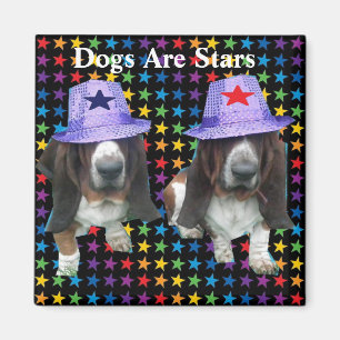 Magnet Dogs Are Stars