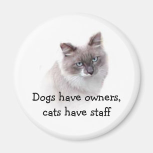 Magnet - Dogs have owners, cats have staff