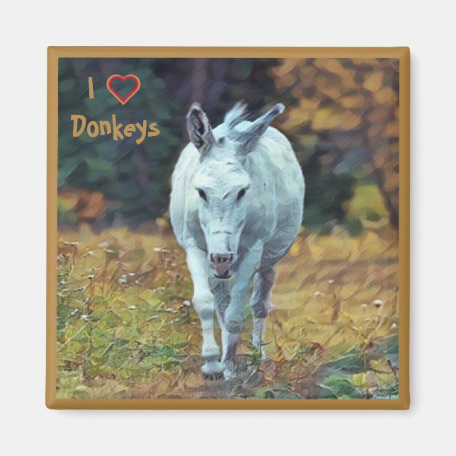 Magnet Donkey 01 (Front)