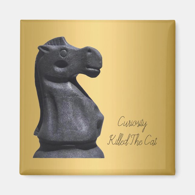 Magnet Expression "Curiosity Killed the Cat" (Front)