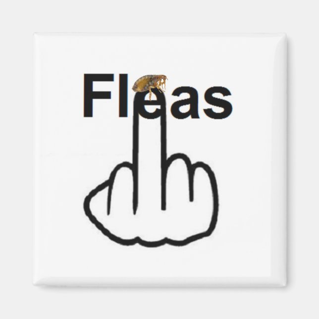 Magnet Fleas Flip (Front)