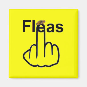 Magnet Fleas Flip