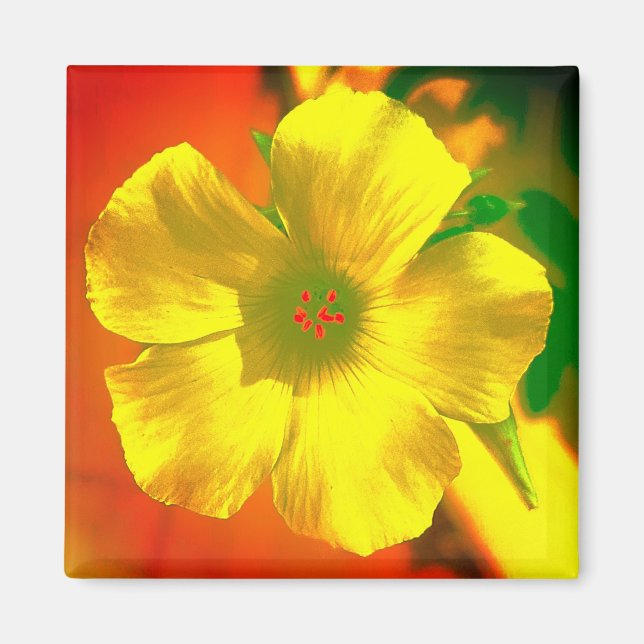 Magnet FLOWER STYLE AND DESIGN  DECORATION (Front)
