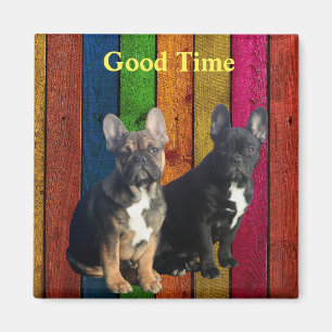 Magnet französische Bulldoggen