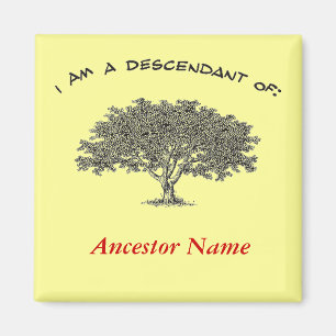 Magnet - Genealogy tree