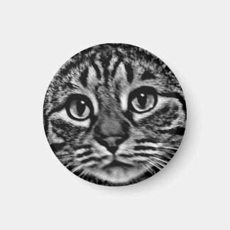 Magnet - General Tso, Black and White