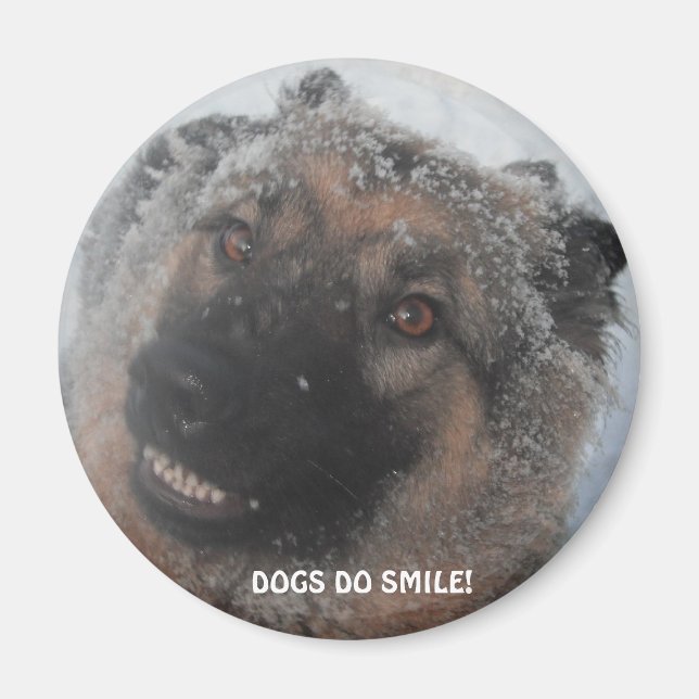 Magnet German Shepherd In The Snow Smiling (Front)
