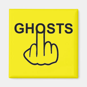 Magnet Ghost Flip