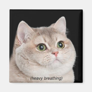 Magnet Heavy Breathing Cat Meme