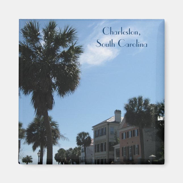 Magnet ~ Historic Downtown Charleston (Front)