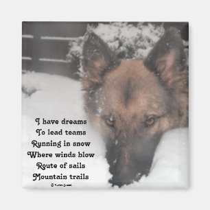 Magnet I Have Dreams Poem By Ladee Basset
