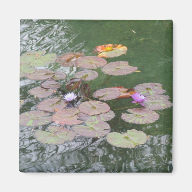Magnet - Lily Pad (Front)