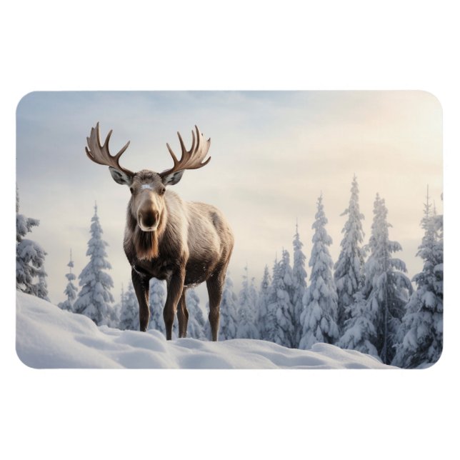 Magnet-Moose Magnet (Horizontal)