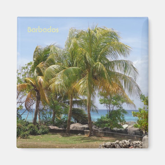 Magnet of Palms in Barbados (Front)