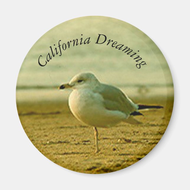 Magnet - Seagull Dreaming (Front)