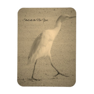 MAGNET STICKER ART&DESIGN STYLE 