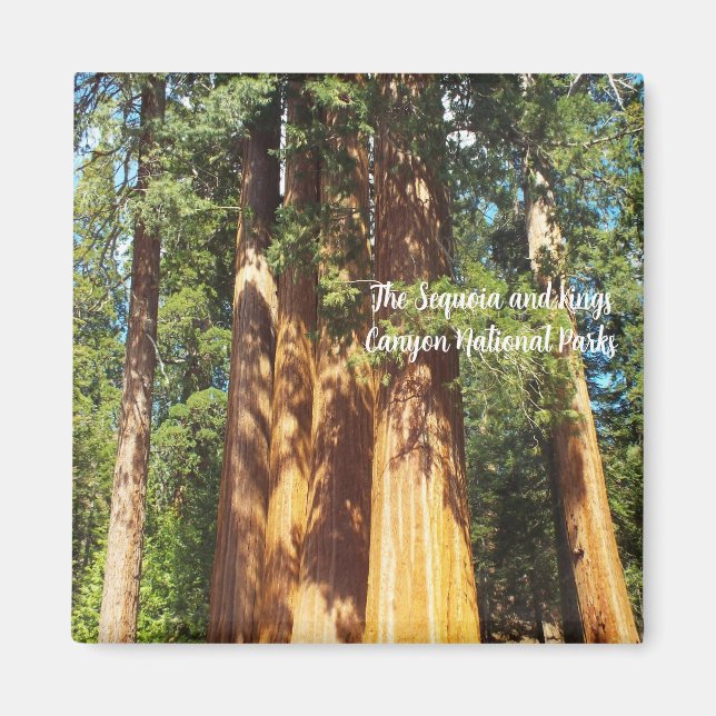 Magnet The Sequoia and Kings Canyon National Parks (Front)
