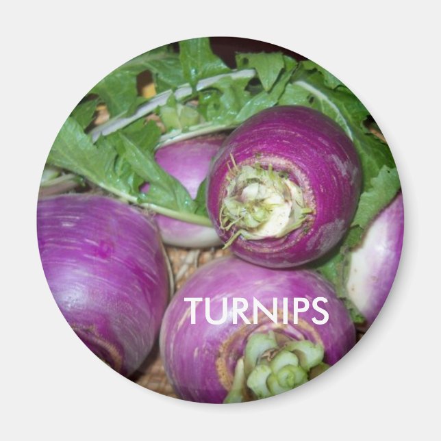 Magnet/Turnips Magnet (Front)