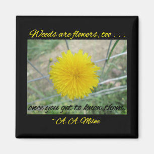 Magnet - Weeds Are Flowers