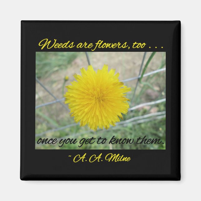 Magnet - Weeds Are Flowers (Front)