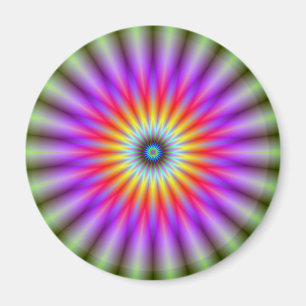 Magnet Wheel of Colour