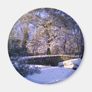 Magnet: Winter Wonderland Magnet