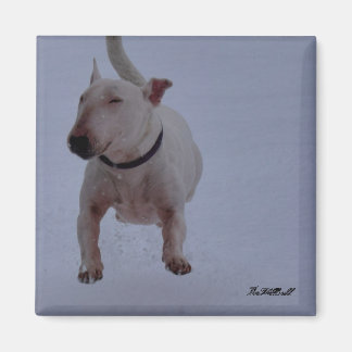 magnet with bull terrier in the snow