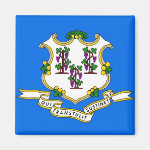 Magnet with Flag of Connecticut State - USA
