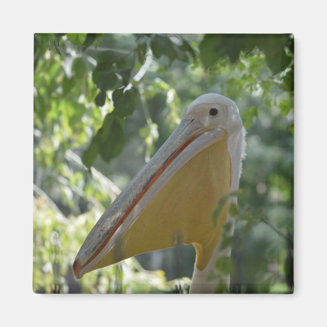 Magnet with funny pelican (Front)