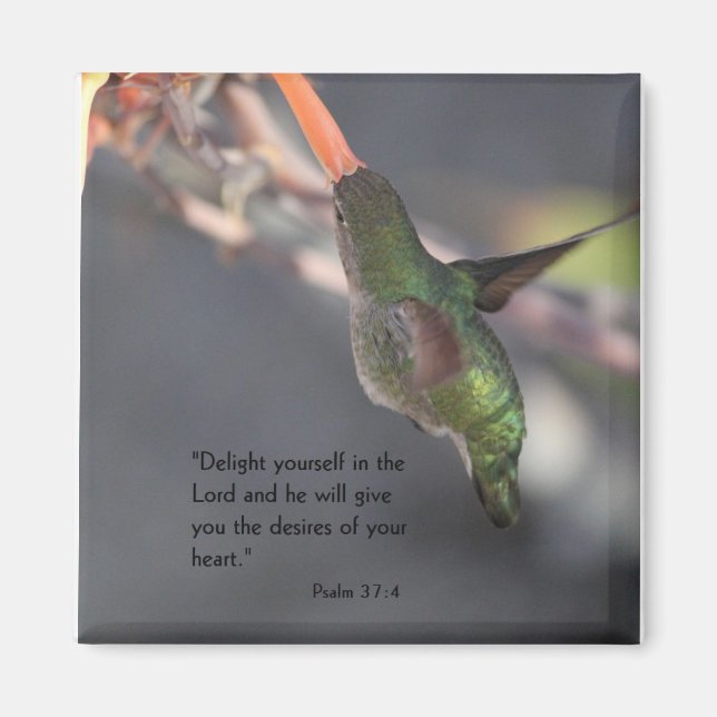 magnet with hummingbird - delight in the Lord (Front)