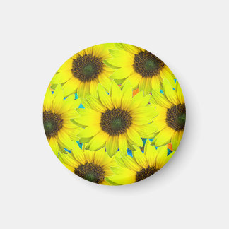 magnet with yellow small sunflower flowers