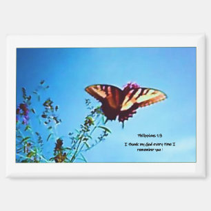 Magnet Yellow Butterfly Phillipians 1:3