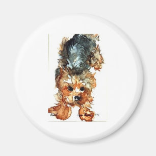 magnet - Yorkshire Terrier